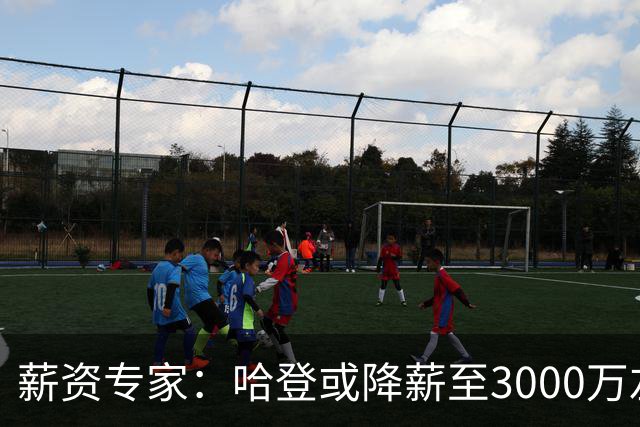 薪资专家：哈登或降薪至3000万左右 助骑士避开第二土豪线